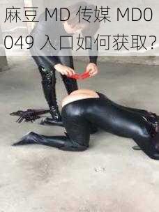 麻豆 MD 传媒 MD0049 入口如何获取？