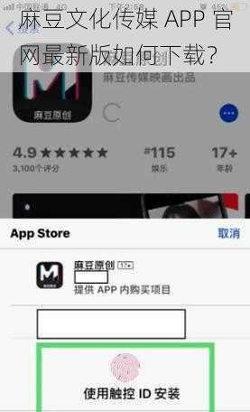 麻豆文化传媒 APP 官网最新版如何下载？