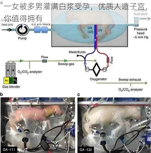 一女被多男灌满白浆受孕，优质人造子宫，你值得拥有