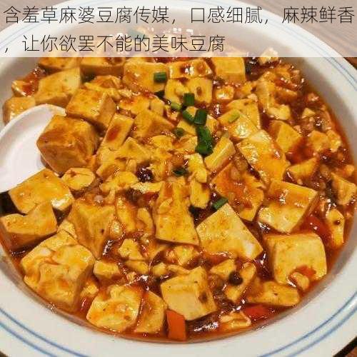 含羞草麻婆豆腐传媒，口感细腻，麻辣鲜香，让你欲罢不能的美味豆腐