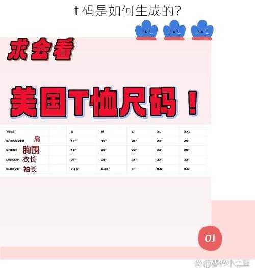 t 码是如何生成的？