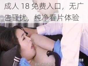 成人 18 免费入口，无广告骚扰，纯净看片体验