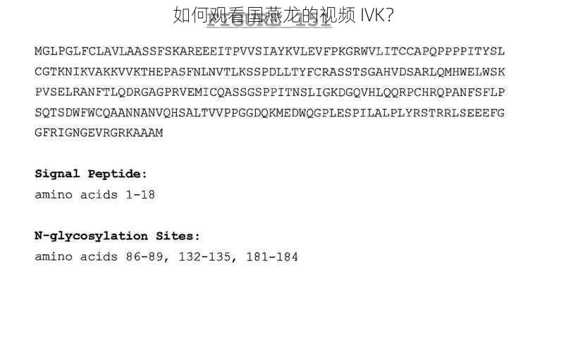 如何观看国燕龙的视频 IVK？