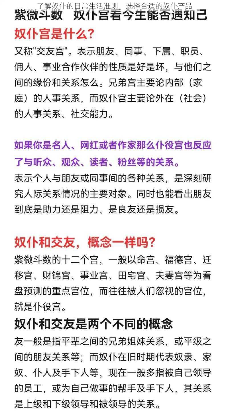 了解奴仆的日常生活准则，选择合适的奴仆产品