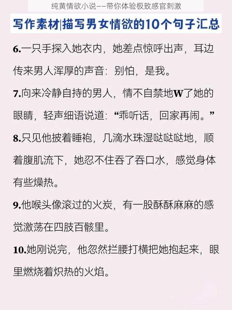 纯黄情欲小说——带你体验极致感官刺激