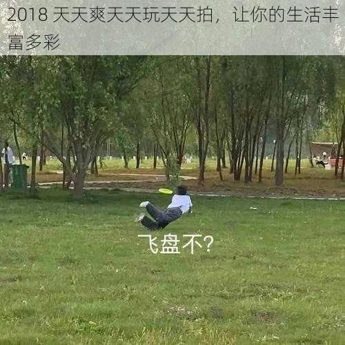 2018 天天爽天天玩天天拍，让你的生活丰富多彩