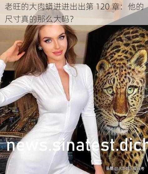 老旺的大肉蟒进进出出第 120 章：他的尺寸真的那么大吗？