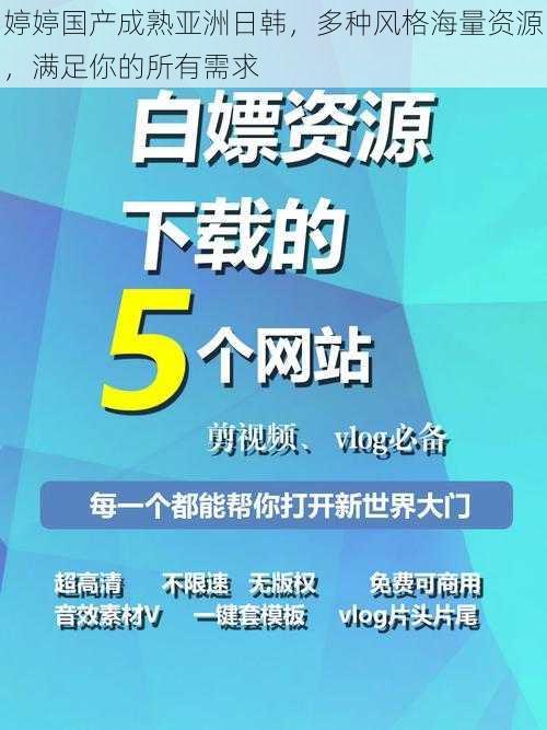 婷婷国产成熟亚洲日韩，多种风格海量资源，满足你的所有需求