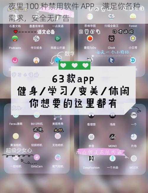 夜里 100 种禁用软件 APP，满足你各种需求，安全无广告