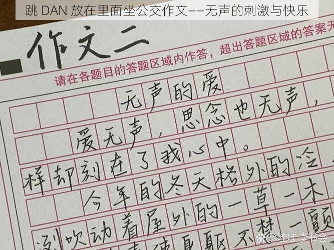 跳 DAN 放在里面坐公交作文——无声的刺激与快乐