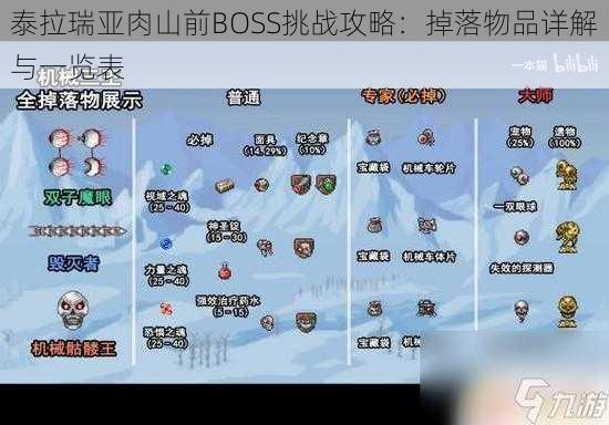 泰拉瑞亚肉山前BOSS挑战攻略：掉落物品详解与一览表