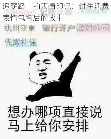 追薪路上的表情印记：讨生活费表情包背后的故事