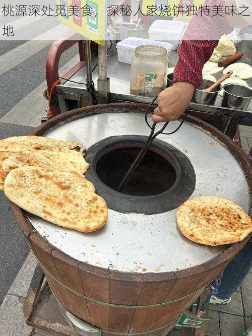 桃源深处觅美食，探秘人家烧饼独特美味之地