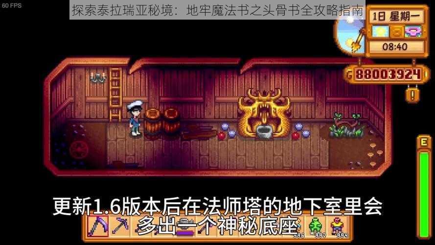 探索泰拉瑞亚秘境：地牢魔法书之头骨书全攻略指南