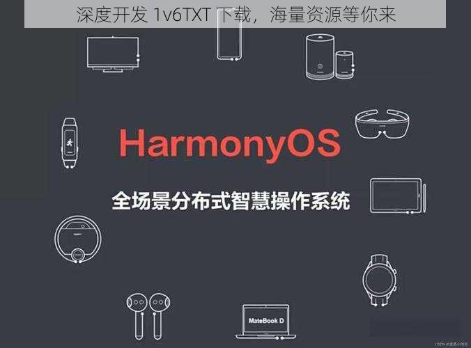 深度开发 1v6TXT 下载，海量资源等你来