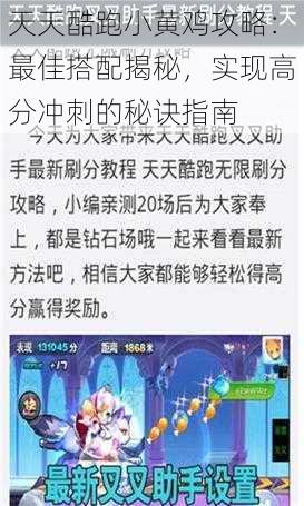 天天酷跑小黄鸡攻略：最佳搭配揭秘，实现高分冲刺的秘诀指南