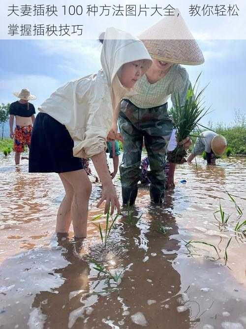 夫妻插秧 100 种方法图片大全，教你轻松掌握插秧技巧