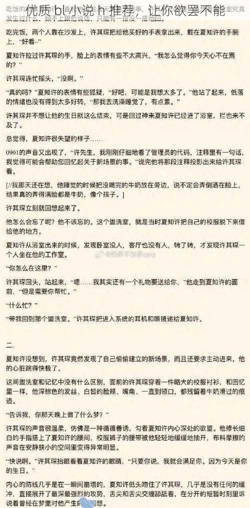 优质 bl 小说 h 推荐，让你欲罢不能