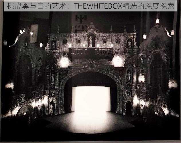 挑战黑与白的艺术：THEWHITEBOX精选的深度探索