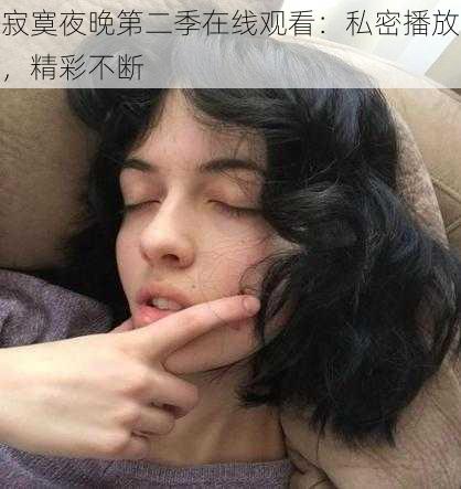 寂寞夜晚第二季在线观看：私密播放，精彩不断