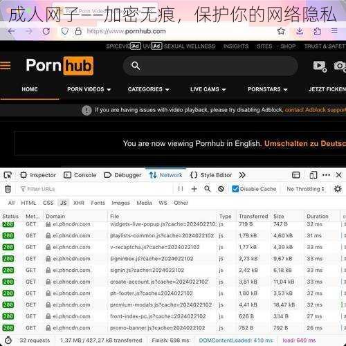 成人网子——加密无痕，保护你的网络隐私