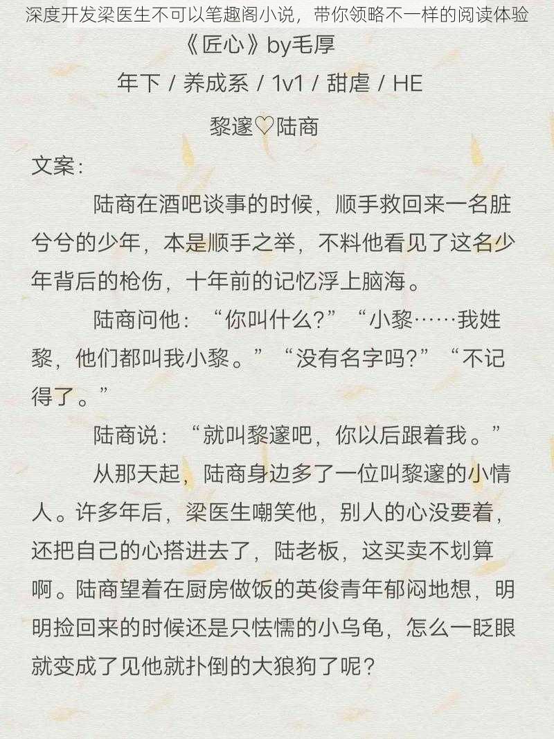 深度开发梁医生不可以笔趣阁小说，带你领略不一样的阅读体验