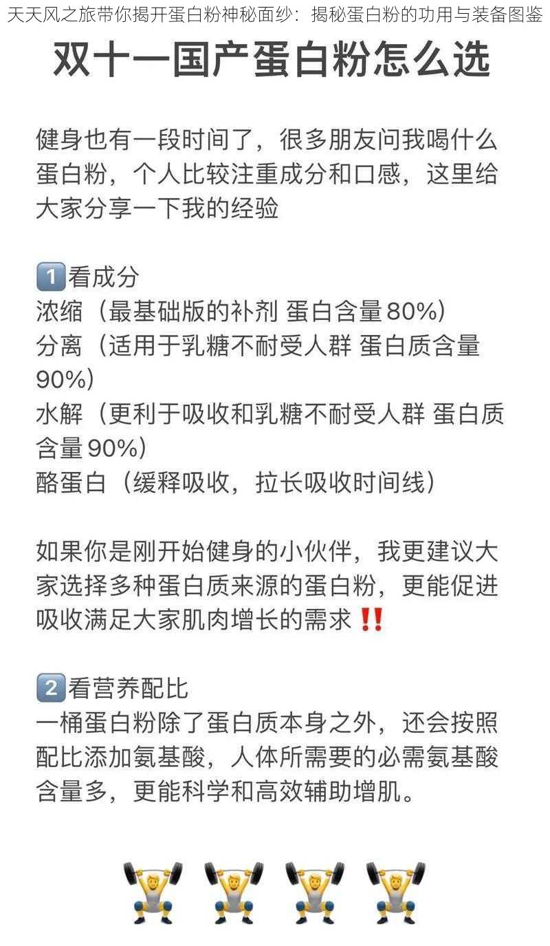 天天风之旅带你揭开蛋白粉神秘面纱：揭秘蛋白粉的功用与装备图鉴