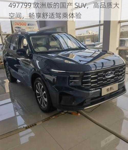 497799 欧洲版的国产 SUV，高品质大空间，畅享舒适驾乘体验