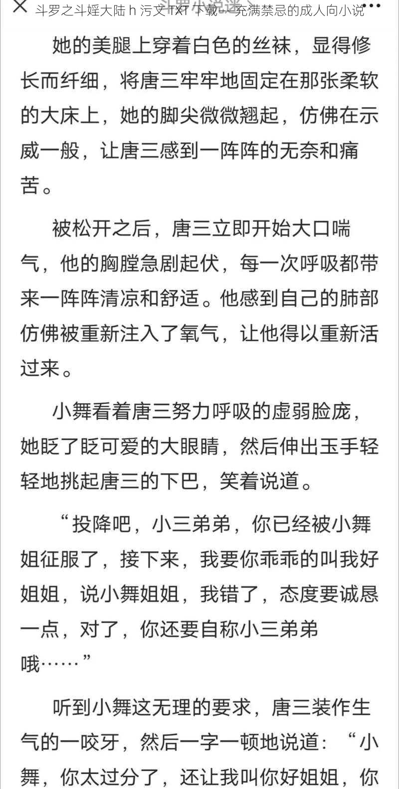 斗罗之斗婬大陆 h 污文 TXT 下载——充满禁忌的成人向小说