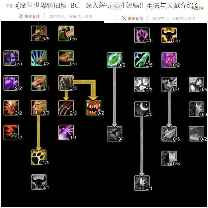 《魔兽世界怀旧服TBC：深入解析牺牲毁输出手法与天赋介绍》