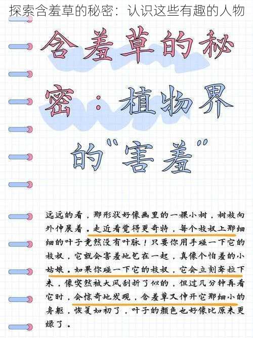 探索含羞草的秘密：认识这些有趣的人物