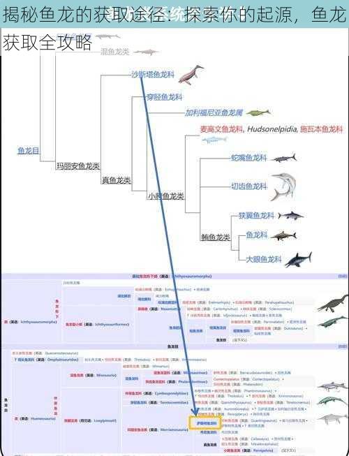 揭秘鱼龙的获取途径：探索你的起源，鱼龙获取全攻略