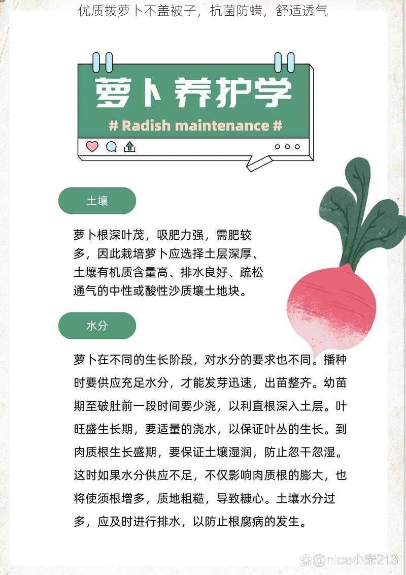 优质拨萝卜不盖被子，抗菌防螨，舒适透气