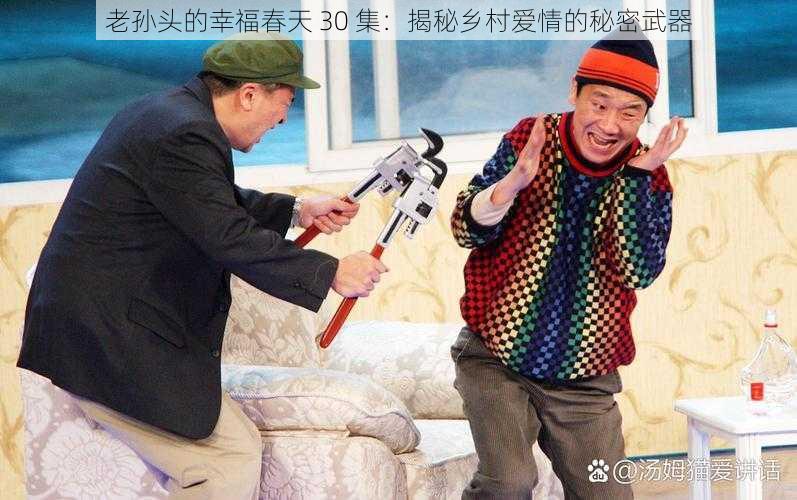 老孙头的幸福春天 30 集：揭秘乡村爱情的秘密武器