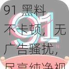 91 黑料不卡顿，无广告骚扰，尽享纯净视觉体验