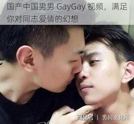 国产中国男男 GayGay 视频，满足你对同志爱情的幻想