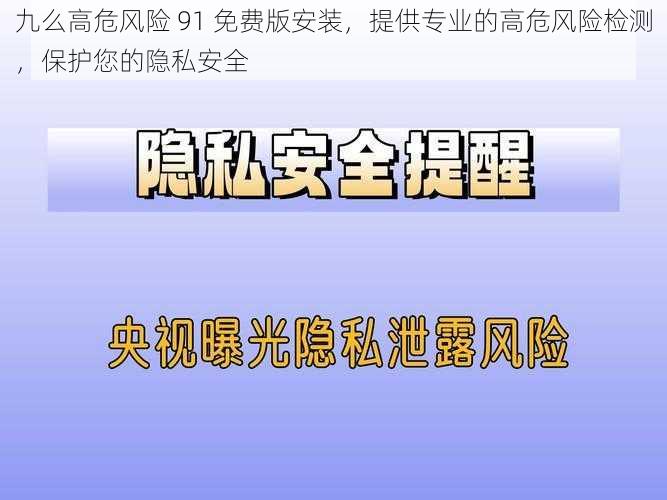 九么高危风险 91 免费版安装，提供专业的高危风险检测，保护您的隐私安全