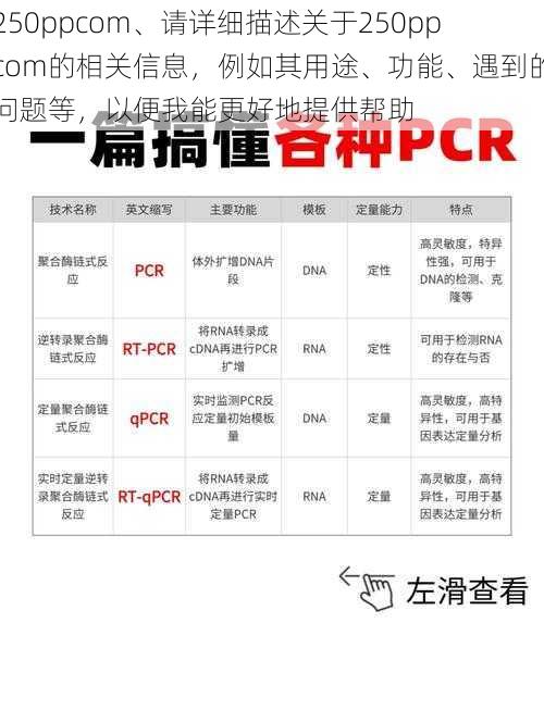 250ppcom、请详细描述关于250ppcom的相关信息，例如其用途、功能、遇到的问题等，以便我能更好地提供帮助