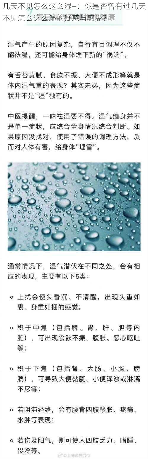 几天不见怎么这么湿—：你是否曾有过几天不见怎么这么湿的疑惑与感受？