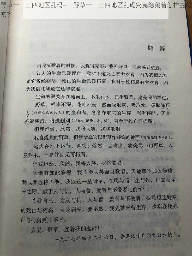 野草一二三四地区乱码—：野草一二三四地区乱码究竟隐藏着怎样的秘密？