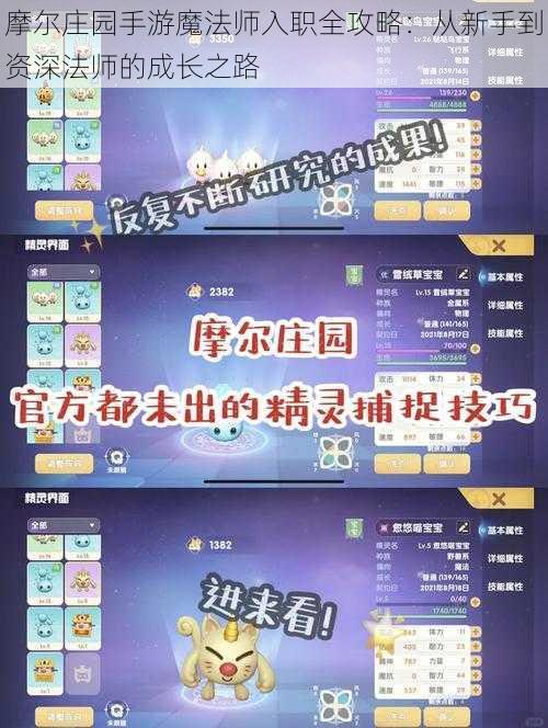 摩尔庄园手游魔法师入职全攻略：从新手到资深法师的成长之路