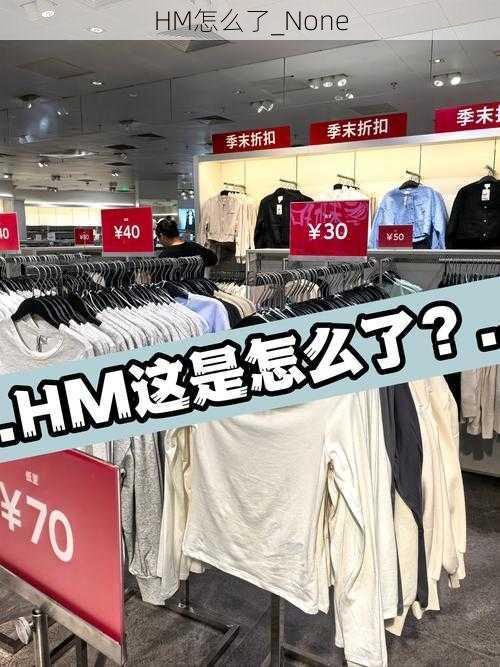 HM怎么了_None