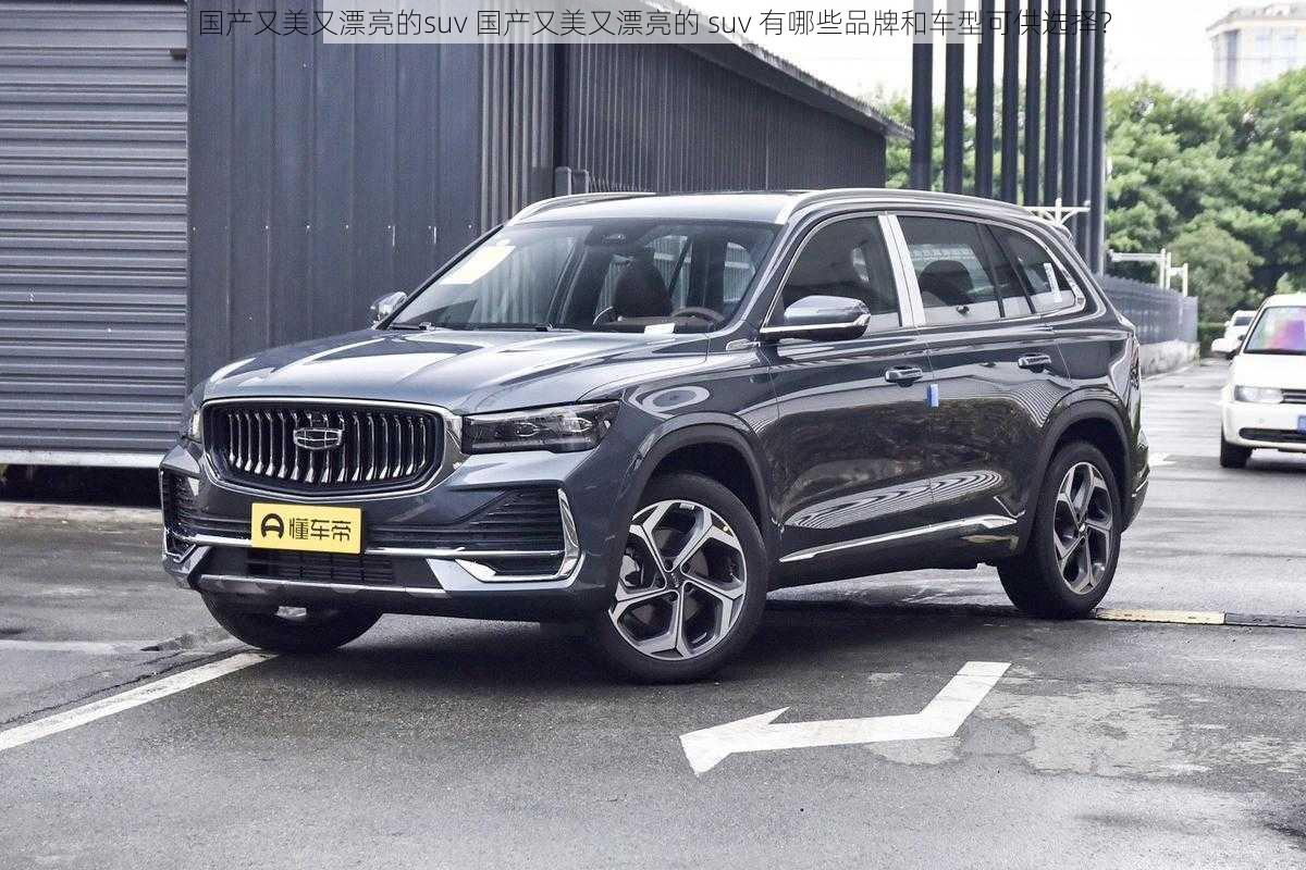 国产又美又漂亮的suv 国产又美又漂亮的 suv 有哪些品牌和车型可供选择？