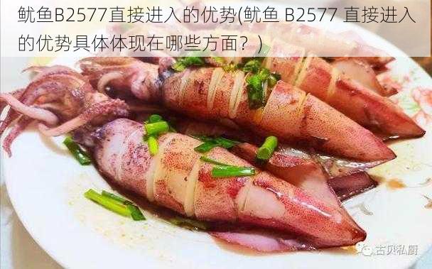 鱿鱼B2577直接进入的优势(鱿鱼 B2577 直接进入的优势具体体现在哪些方面？)