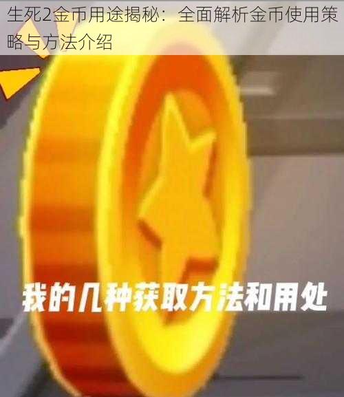 生死2金币用途揭秘：全面解析金币使用策略与方法介绍