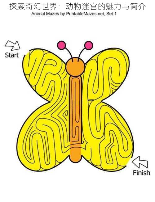 探索奇幻世界：动物迷宫的魅力与简介