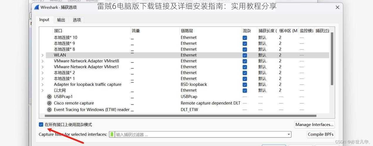 雷贼6电脑版下载链接及详细安装指南：实用教程分享