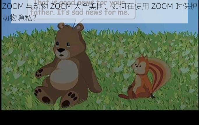 ZOOM 与动物 ZOOM 大全美国：如何在使用 ZOOM 时保护动物隐私？