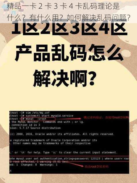 精品一卡 2 卡 3 卡 4 卡乱码理论是什么？有什么用？如何解决乱码问题？