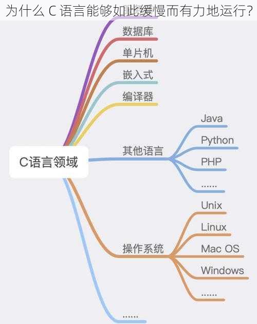 为什么 C 语言能够如此缓慢而有力地运行？